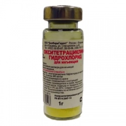 Окситетрациклина гидрохлорид (1г) (бфг)